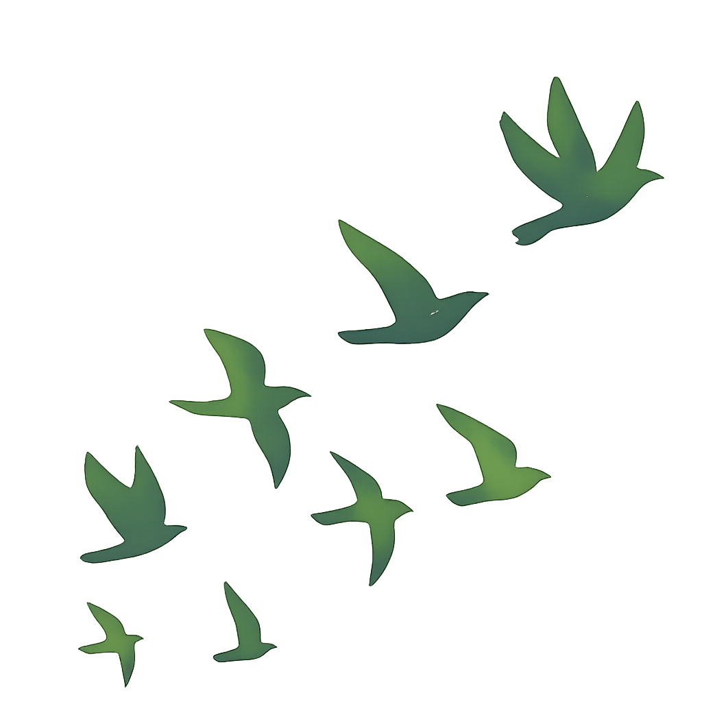 birds